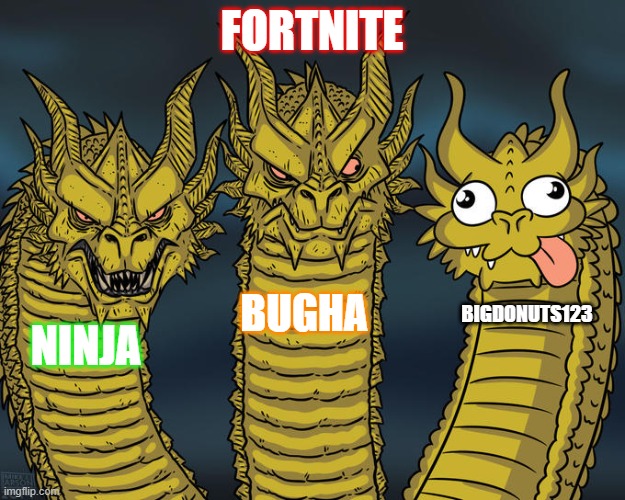 Three-headed Dragon | FORTNITE; BUGHA; BIGDONUTS123; NINJA | image tagged in three-headed dragon | made w/ Imgflip meme maker