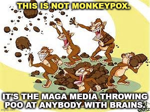 THIS IS NOT MONKEYPOX. IT'S THE MAGA MEDIA THROWING POO AT ANYBODY WITH BRAINS. | image tagged in monkey,virus,maga,media,hate,brains | made w/ Imgflip meme maker