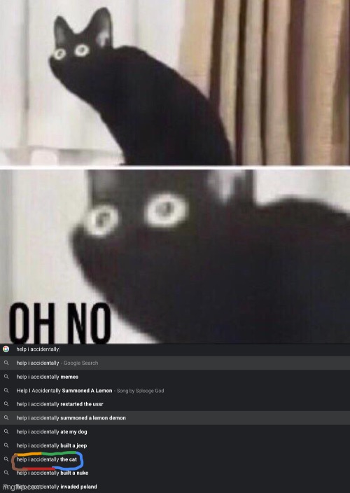 OH NO I DID THE CAT | image tagged in oh no cat | made w/ Imgflip meme maker