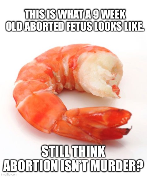 Abortion is Murder | THIS IS WHAT A 9 WEEK OLD ABORTED FETUS LOOKS LIKE. STILL THINK ABORTION ISN’T MURDER? | image tagged in abortion is murder,prolife,roe v wade | made w/ Imgflip meme maker