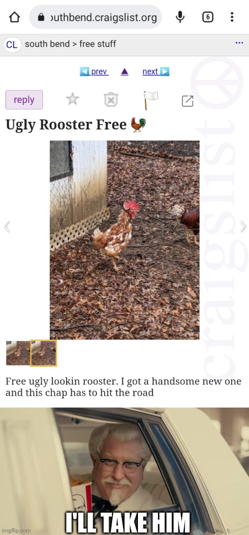 DID THEY HAVE TO BE MEAN? | I'LL TAKE HIM | image tagged in kfc,craigslist,chicken | made w/ Imgflip meme maker