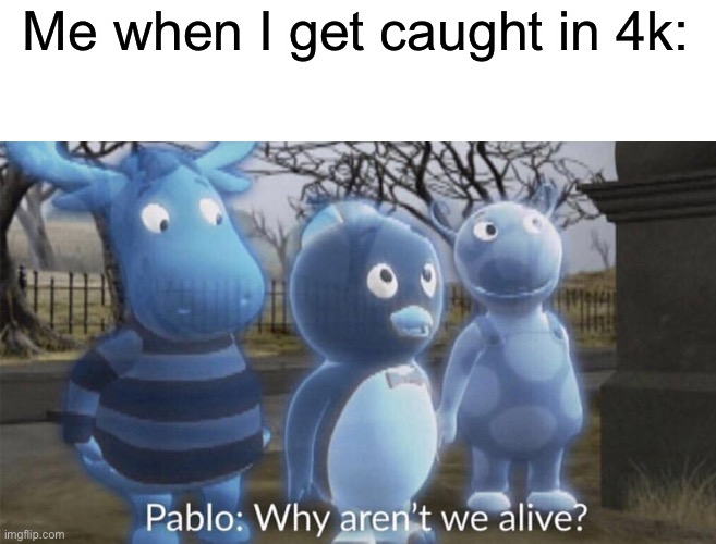 Pablo why aren't we alive? | Me when I get caught in 4k: | image tagged in pablo why aren't we alive | made w/ Imgflip meme maker