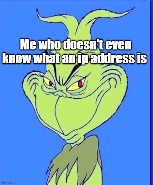 Me who doesn't even know what an ip address is | image tagged in good grinch | made w/ Imgflip meme maker