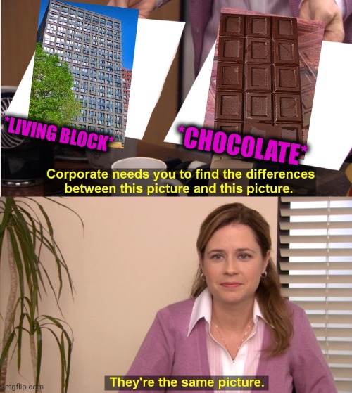 -Pretty blackened. | *CHOCOLATE*; *LIVING BLOCK* | image tagged in memes,they're the same picture,the owl house,hot chocolate,stage,sesame street | made w/ Imgflip meme maker