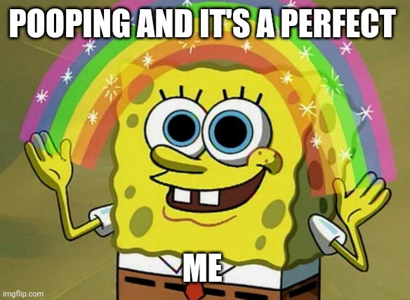 Making a perfect | POOPING AND IT'S A PERFECT; ME | image tagged in memes,imagination spongebob | made w/ Imgflip meme maker