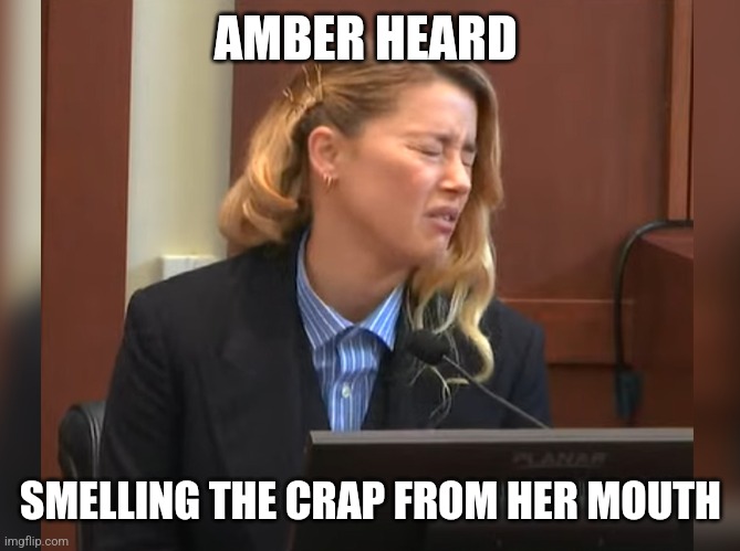 Horrible acting | AMBER HEARD; SMELLING THE CRAP FROM HER MOUTH | image tagged in amber heard dog stepped on a bee,amber heard,johnny depp,trial,court,best | made w/ Imgflip meme maker