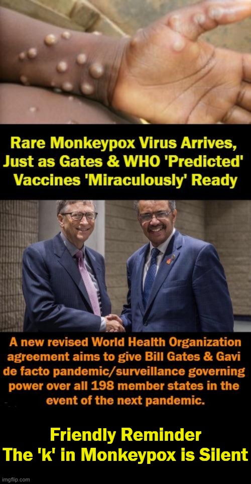 Follow The Money | Friendly Reminder
The 'k' in Monkeypox is Silent | image tagged in politics,monkeypox,bill gates,world health organization,vaccines,money | made w/ Imgflip meme maker