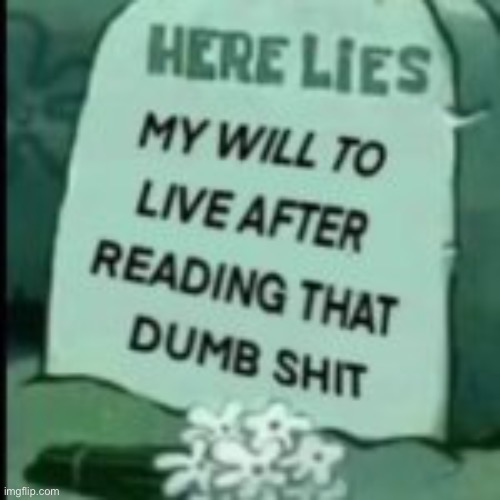 made w/ Imgflip meme maker