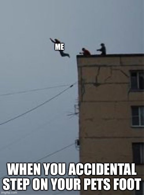 Might as well kill myself now | ME; WHEN YOU ACCIDENTAL STEP ON YOUR PETS FOOT | image tagged in might as well kill myself now | made w/ Imgflip meme maker