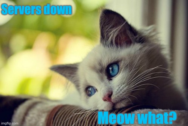 Game is down | Servers down; Meow what? | image tagged in memes,first world problems cat,game is down,servers down,update | made w/ Imgflip meme maker