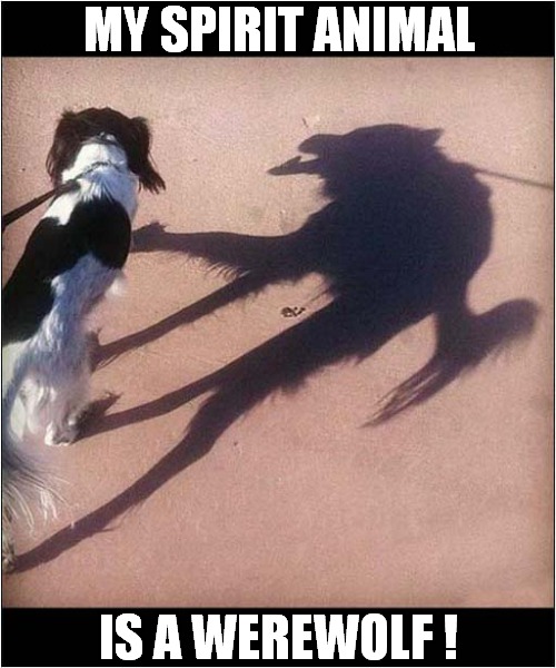 Dog Reveals His Dark Side ! | MY SPIRIT ANIMAL; IS A WEREWOLF ! | image tagged in dogs,spirit animal,werewolf,dark side | made w/ Imgflip meme maker