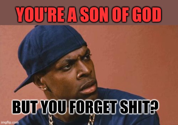 A Son of God forgets - Chris Tucker | YOU'RE A SON OF GOD; BUT YOU FORGET SHIT? | image tagged in chris tucker | made w/ Imgflip meme maker