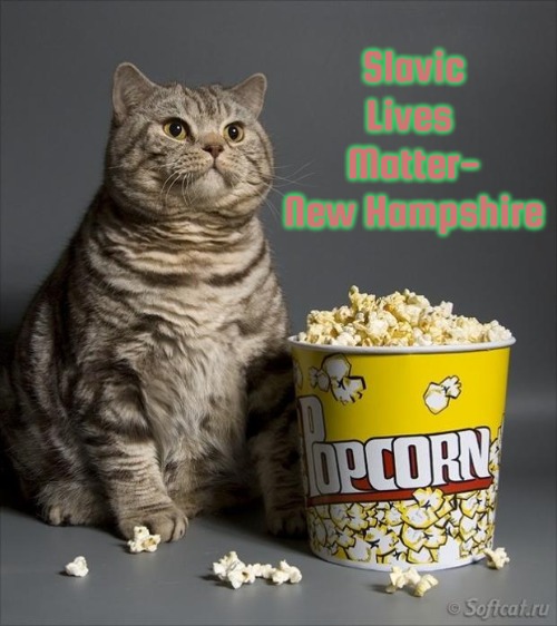 Cat eating popcorn |  Slavic Lives 
Matter-
New Hampshire | image tagged in cat eating popcorn,new hampshire,slavic | made w/ Imgflip meme maker