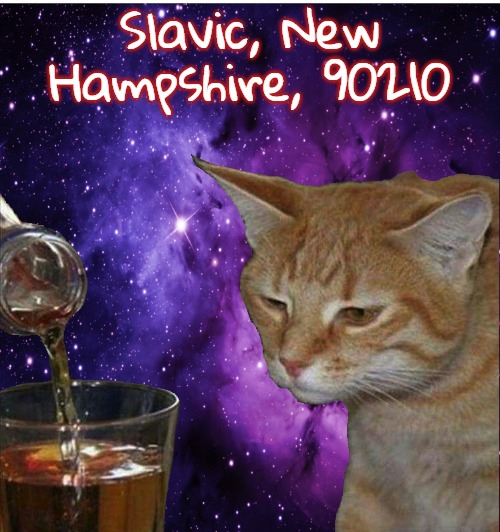 RIP TOOTS LIL FIGHTER |  Slavic, New Hampshire, 90210 | image tagged in rip toots lil fighter,slavic,90210,new hampshire | made w/ Imgflip meme maker