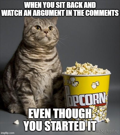 WHEN YOU SIT BACK AND WATCH AN ARGUMENT IN THE COMMENTS EVEN THOUGH YOU STARTED IT | image tagged in cat eating popcorn | made w/ Imgflip meme maker