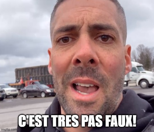 tres pas faux | C'EST TRES PAS FAUX! | image tagged in pasfaux,tres pas faux,carl giroux,veritay | made w/ Imgflip meme maker