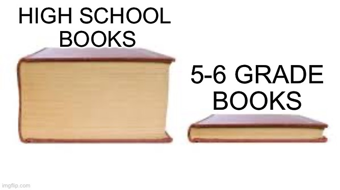 Big book small book | HIGH SCHOOL 
BOOKS; 5-6 GRADE
BOOKS | image tagged in big book small book | made w/ Imgflip meme maker