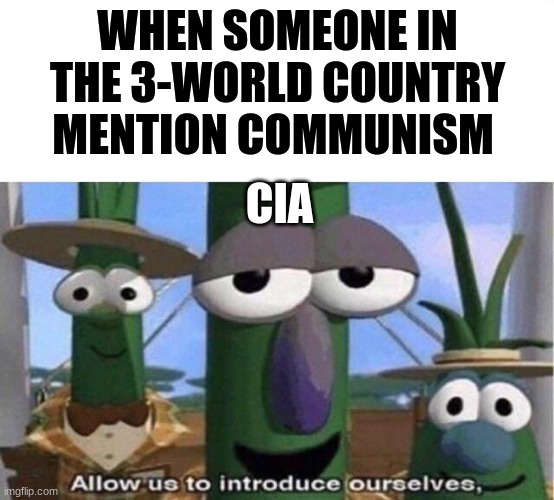 Veggie Tales | WHEN SOMEONE IN THE 3-WORLD COUNTRY MENTION COMMUNISM CIA | image tagged in veggie tales | made w/ Imgflip meme maker