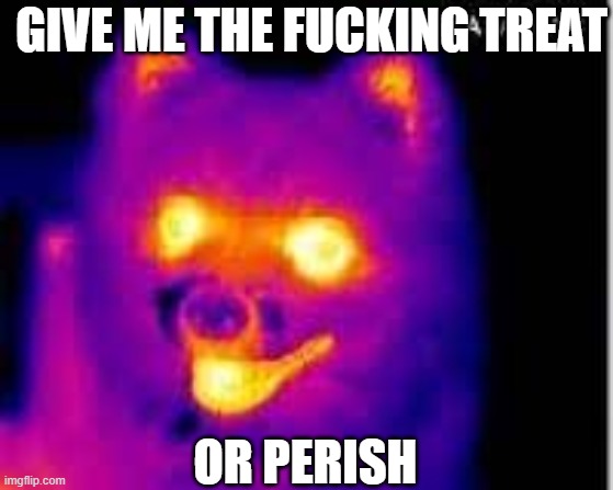 Thermal Dog | GIVE ME THE FUCKING TREAT; OR PERISH | image tagged in doge,nsfw | made w/ Imgflip meme maker