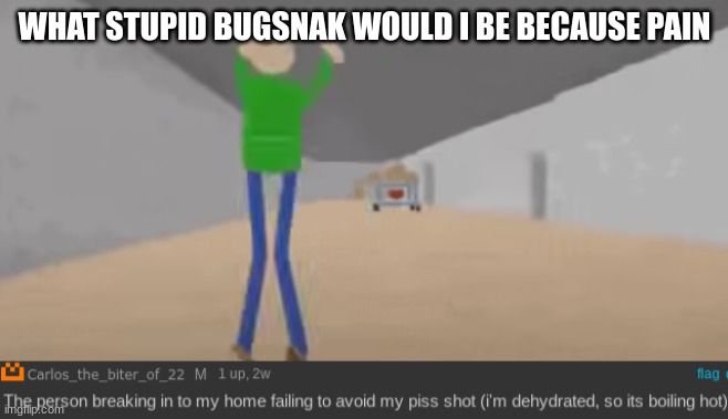 piss shot | WHAT STUPID BUGSNAK WOULD I BE BECAUSE PAIN | image tagged in piss shot | made w/ Imgflip meme maker