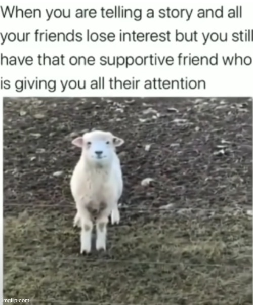 :) | image tagged in friend | made w/ Imgflip meme maker