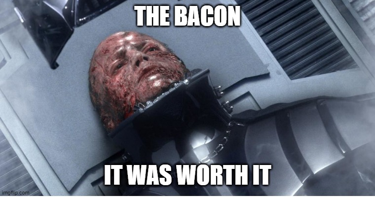 Bacon Grease Fire | THE BACON; IT WAS WORTH IT | image tagged in funny,star wars,bacon | made w/ Imgflip meme maker