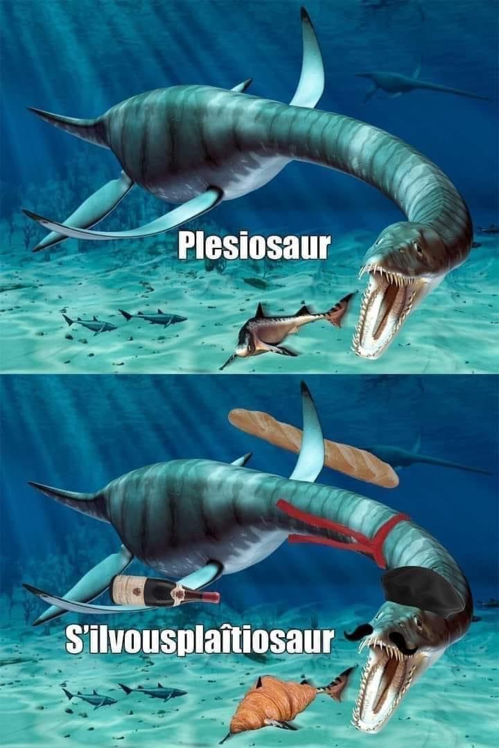 High Quality Pleiosaur French Blank Meme Template