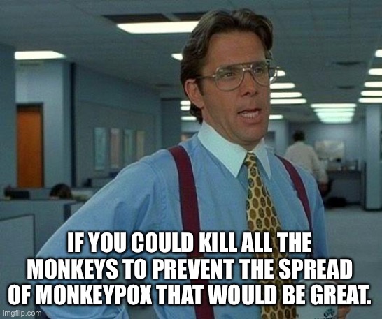 Kill All The Monkeys That Would Be Great | IF YOU COULD KILL ALL THE MONKEYS TO PREVENT THE SPREAD OF MONKEYPOX THAT WOULD BE GREAT. | image tagged in memes,that would be great,monkeypox,office space,kill monkeys | made w/ Imgflip meme maker