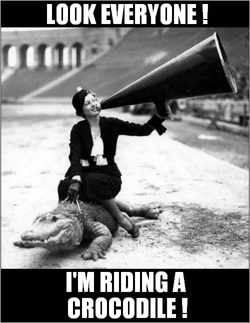 Vintage Showing Off ! |  LOOK EVERYONE ! I'M RIDING A 
CROCODILE ! | image tagged in vintage,showing off,megaphone,crocodile,front page | made w/ Imgflip meme maker