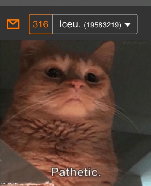 image tagged in pathetic cat | made w/ Imgflip meme maker
