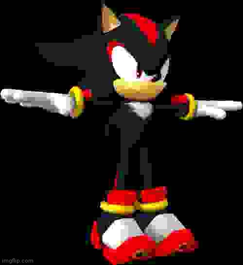 shadow the hedgehog t pose | image tagged in shadow the hedgehog t pose | made w/ Imgflip meme maker