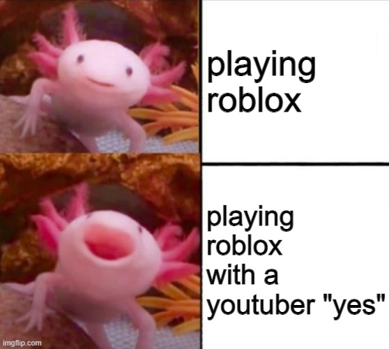 axolotl drake | playing roblox; playing roblox with a youtuber "yes" | image tagged in axolotl drake | made w/ Imgflip meme maker