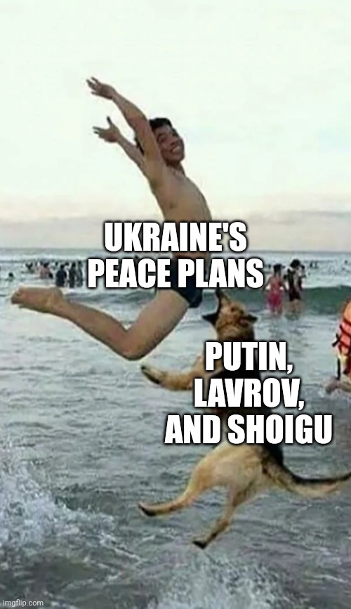 oeuf | UKRAINE'S PEACE PLANS; PUTIN, LAVROV, AND SHOIGU | image tagged in dog bite dick,russia,ukraine,putin,memes,bruh | made w/ Imgflip meme maker