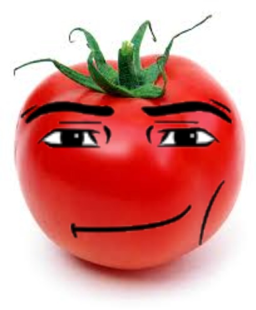 tomato | image tagged in tomato | made w/ Imgflip meme maker