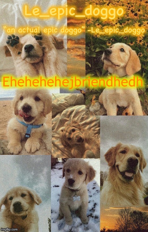 Doggo temp by doggo. Wait what that’s confusing | Ehehehehejbriendhedh | image tagged in doggo temp by doggo wait what that s confusing | made w/ Imgflip meme maker