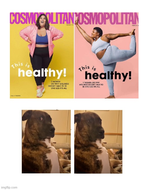 this is healthy | image tagged in communism,leftist,critical theory,suspicious doggie | made w/ Imgflip meme maker
