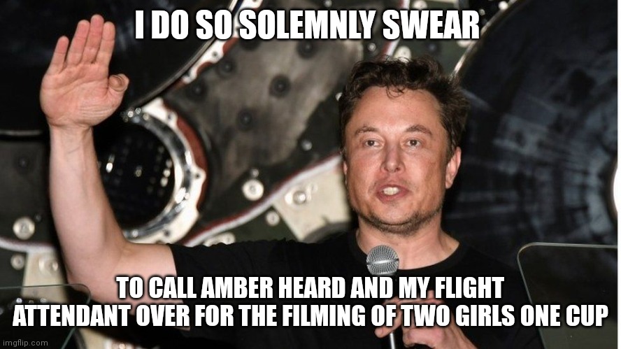 My new film | I DO SO SOLEMNLY SWEAR; TO CALL AMBER HEARD AND MY FLIGHT ATTENDANT OVER FOR THE FILMING OF TWO GIRLS ONE CUP | image tagged in funny memes,elon musk,amber heard,johnny depp,flight attendant | made w/ Imgflip meme maker