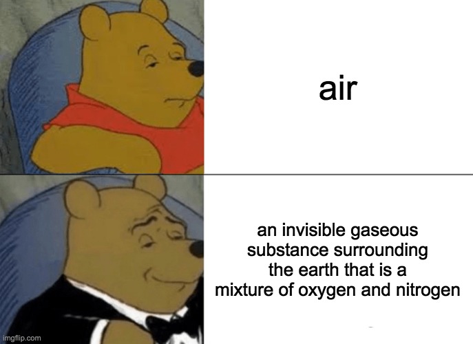 Tuxedo Winnie The Pooh | air; an invisible gaseous substance surrounding the earth that is a mixture of oxygen and nitrogen | image tagged in memes,tuxedo winnie the pooh | made w/ Imgflip meme maker