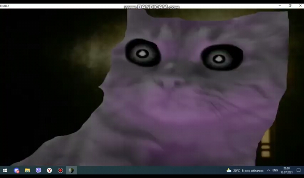 Purple cat Blank Meme Template