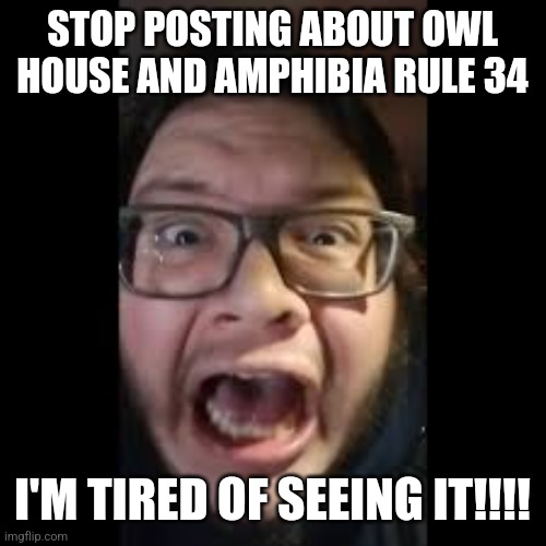 f |  STOP POSTING ABOUT OWL HOUSE AND AMPHIBIA RULE 34; I'M TIRED OF SEEING IT!!!! | image tagged in stop posting about among us,rule 34,the owl house,amphibia,cringe,why god why | made w/ Imgflip meme maker