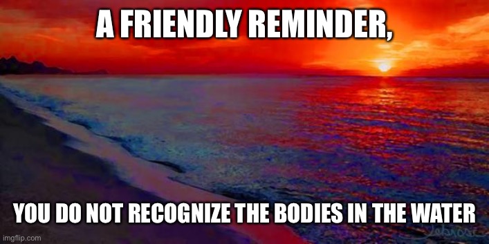 You do not recognize the bodies in the water | A FRIENDLY REMINDER, YOU DO NOT RECOGNIZE THE BODIES IN THE WATER | image tagged in ocean sunset | made w/ Imgflip meme maker