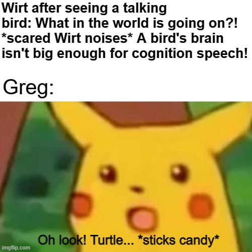 First encounter with Beatrice | Wirt after seeing a talking bird: What in the world is going on?! *scared Wirt noises* A bird's brain isn't big enough for cognition speech! Greg:; Oh look! Turtle... *sticks candy* | image tagged in memes,surprised pikachu | made w/ Imgflip meme maker