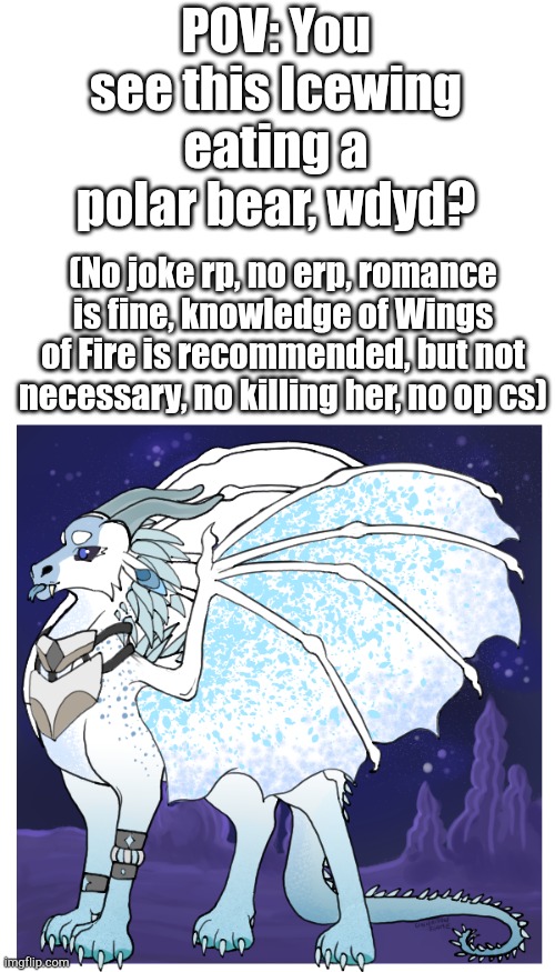 Wings of Fire RP | POV: You see this Icewing eating a polar bear, wdyd? (No joke rp, no erp, romance is fine, knowledge of Wings of Fire is recommended, but not necessary, no killing her, no op cs) | made w/ Imgflip meme maker