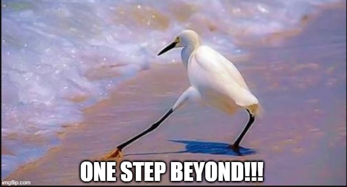 Razzle Dazzle Bird |  ONE STEP BEYOND!!! | image tagged in razzle dazzle bird | made w/ Imgflip meme maker