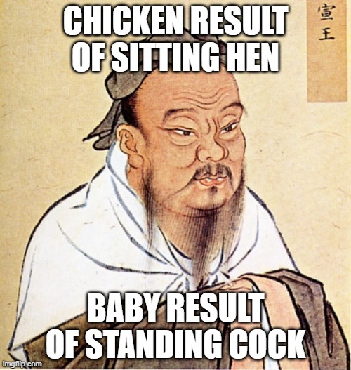 Confucious Says |  CHICKEN RESULT OF SITTING HEN; BABY RESULT OF STANDING COCK | image tagged in confucius says | made w/ Imgflip meme maker