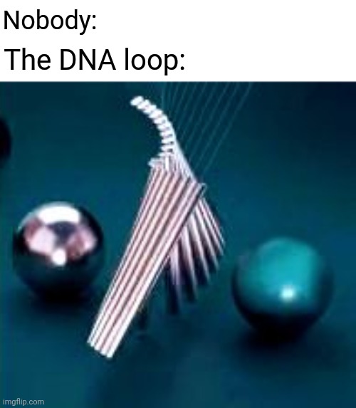 DNA |  Nobody:; The DNA loop: | image tagged in dna,blank white template,memes,meme,comment section,comments | made w/ Imgflip meme maker