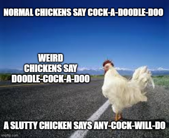 Chicken Types |  NORMAL CHICKENS SAY COCK-A-DOODLE-DOO; WEIRD CHICKENS SAY DOODLE-COCK-A-DOO; A SLUTTY CHICKEN SAYS ANY-COCK-WILL-DO | image tagged in why the chicken cross the road | made w/ Imgflip meme maker
