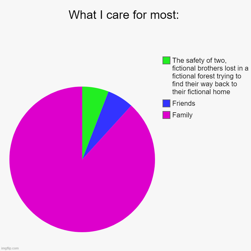 Yes, you read it right | What I care for most: | Family, Friends, The safety of two, fictional brothers lost in a fictional forest trying to find their way back to t | image tagged in charts,pie charts | made w/ Imgflip chart maker