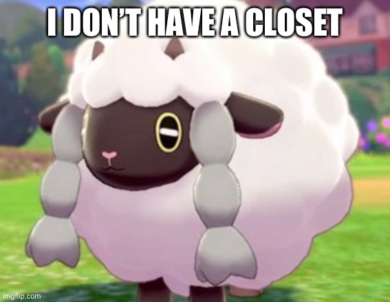 wooloo | I DON’T HAVE A CLOSET | image tagged in wooloo | made w/ Imgflip meme maker