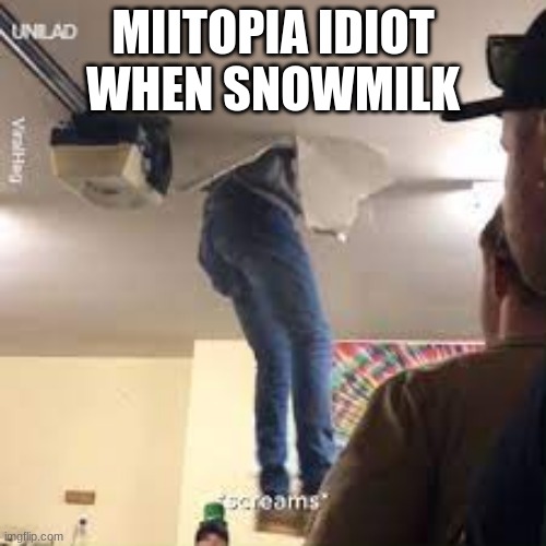 MIITOPIA IDIOT WHEN SNOWMILK | made w/ Imgflip meme maker